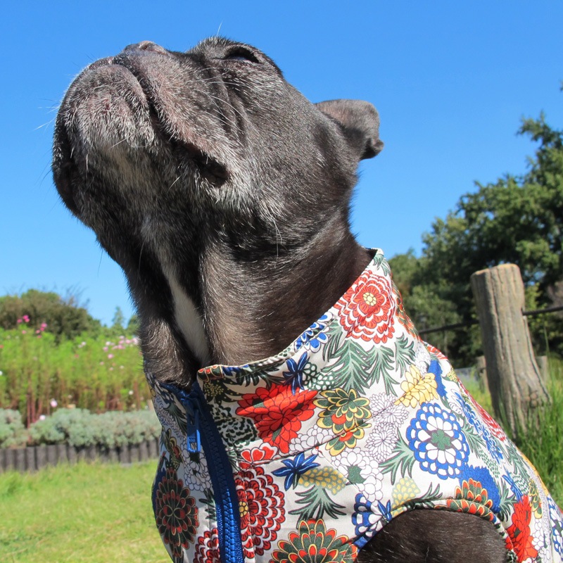 ʲ֡ʥ٥ȡڰΤߥ᡼زġ