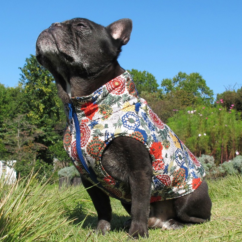 ʲ֡ʥ٥ȡڰΤߥ᡼زġ