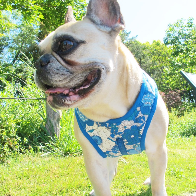 ٥ȡʥ֥롼֡ˡ1Τߥ᡼زġ