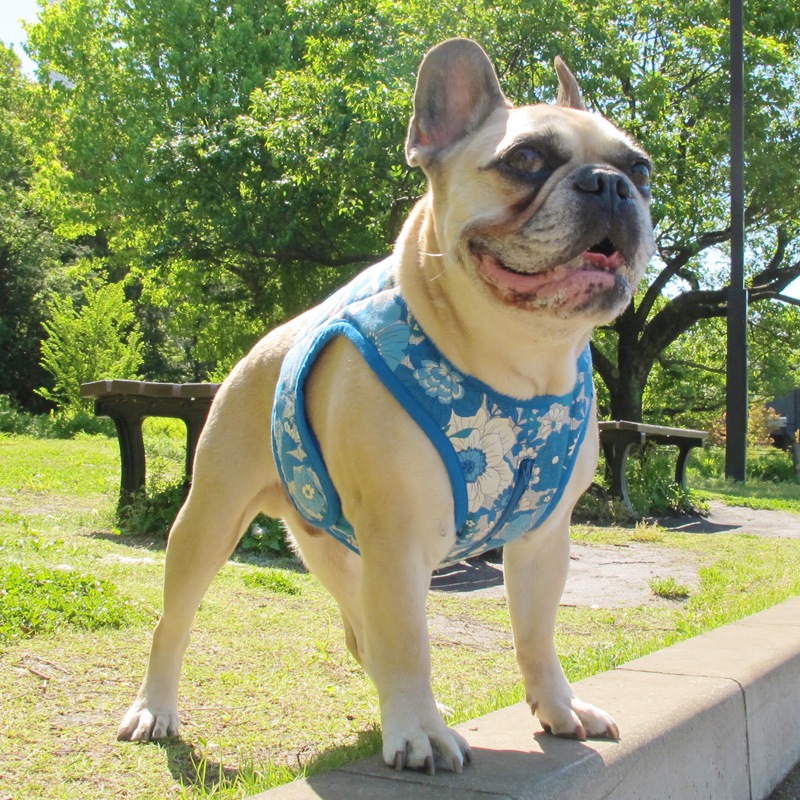 ٥ȡʥ֥롼֡ˡ1Τߥ᡼زġ