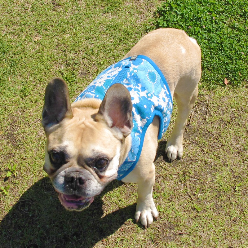 ٥ȡʥ֥롼֡ˡ1Τߥ᡼زġ