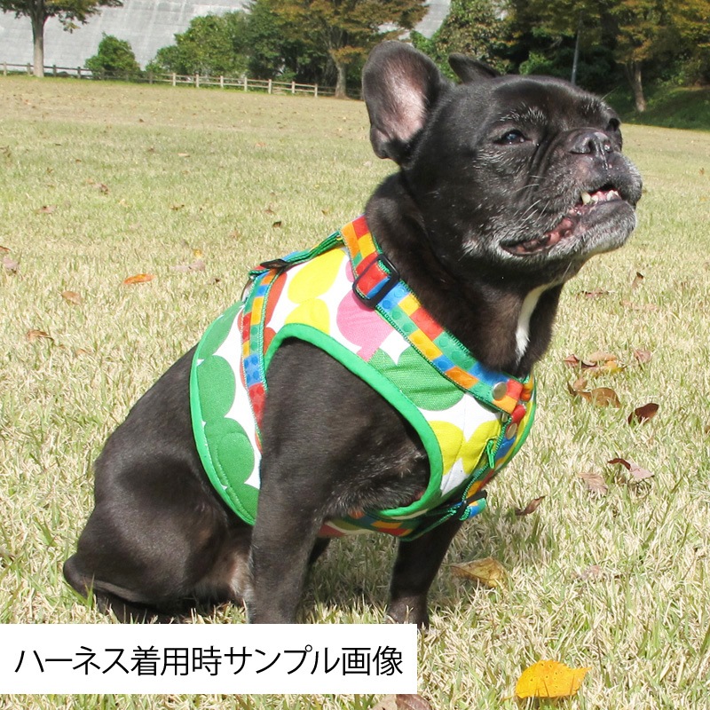 ٥ȡʥ֥롼֡ˡ1Τߥ᡼زġ