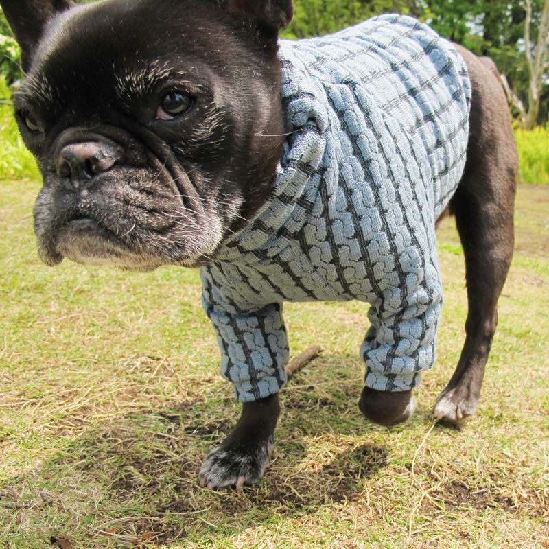 ֥ԤߤΤ忧ڰΤߥ᡼زġ