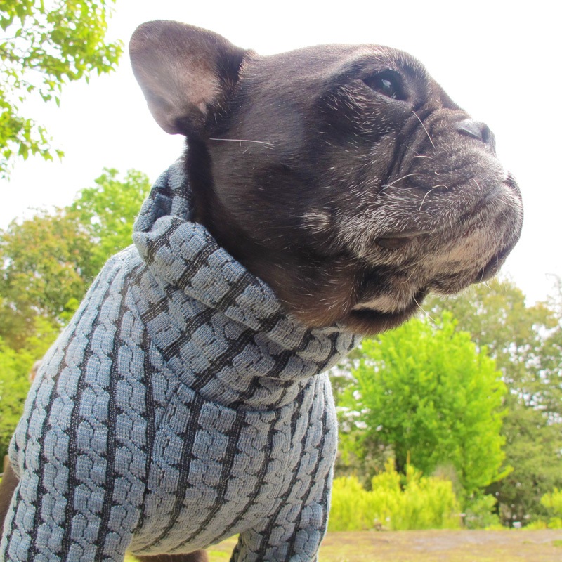 ֥ԤߤΤ忧ڰΤߥ᡼زġ