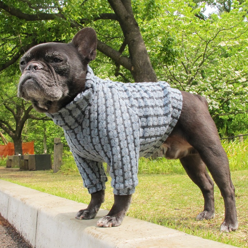 ֥ԤߤΤ忧ڰΤߥ᡼زġ