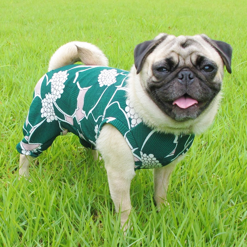 ���դ��פ�ʤ�������ƤĤʤ��ڲƤĤʤ�2��or�ƤĤʤ�1���T�����(����)1��ϥ᡼���زġ�