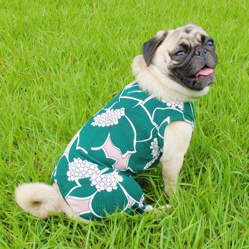 ���դ��פ�ʤ�������ƤĤʤ��ڲƤĤʤ�2��or�ƤĤʤ�1���T�����(����)1��ϥ᡼���زġ�