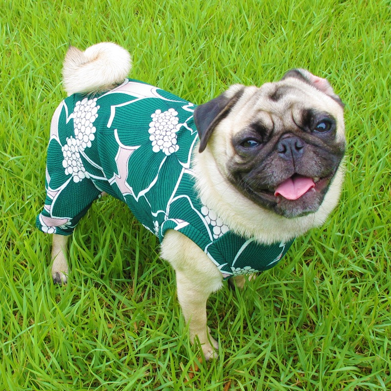 ���դ��פ�ʤ�������ƤĤʤ��ڲƤĤʤ�2��or�ƤĤʤ�1���T�����(����)1��ϥ᡼���زġ�