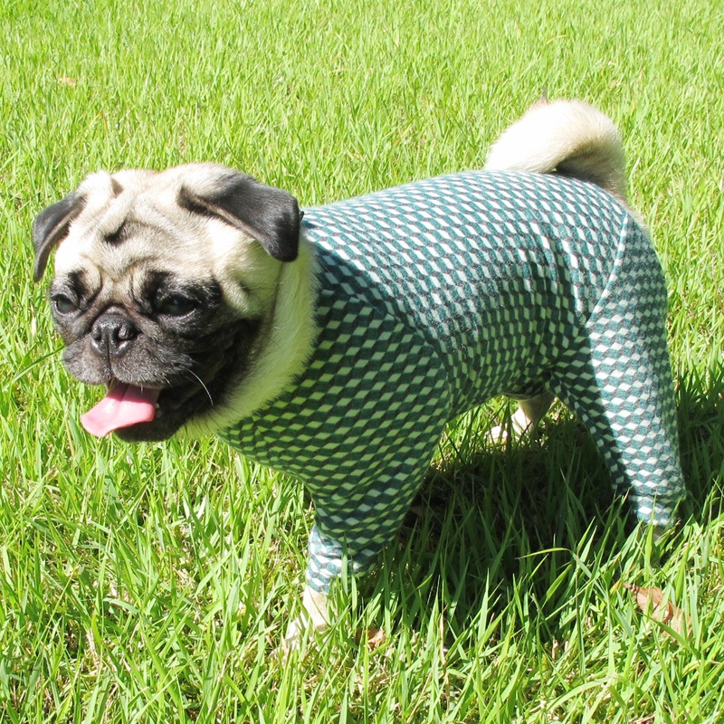 ȥʥȥåĤʤڰΤߥ᡼زġ