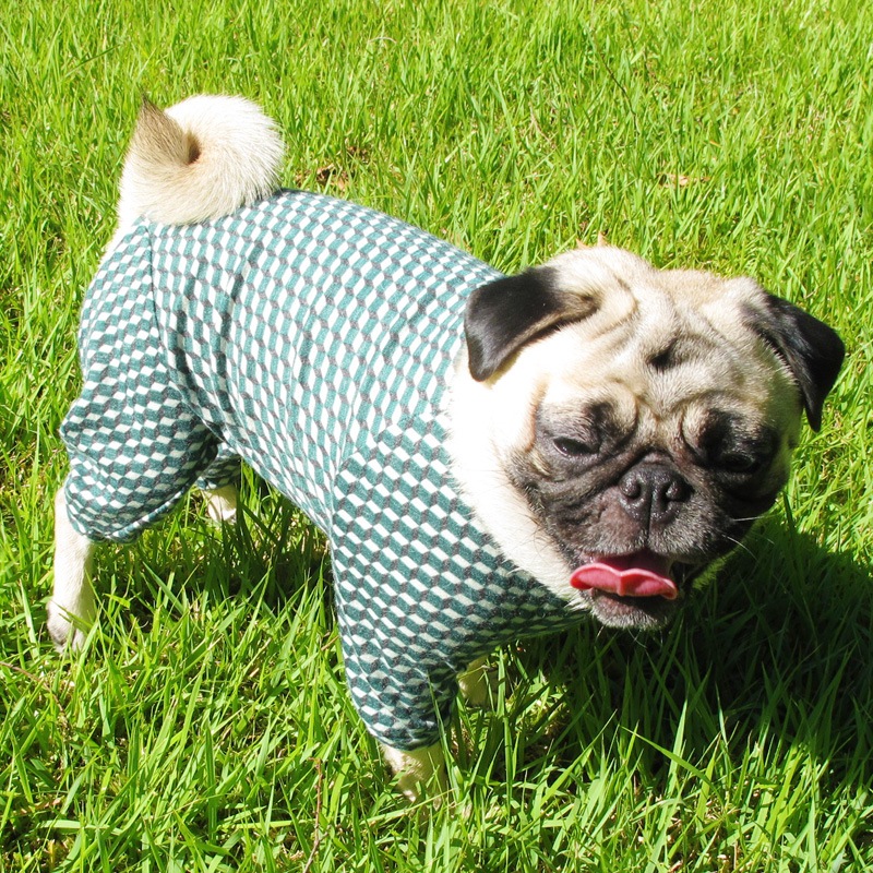 ȥʥȥåĤʤڰΤߥ᡼زġ