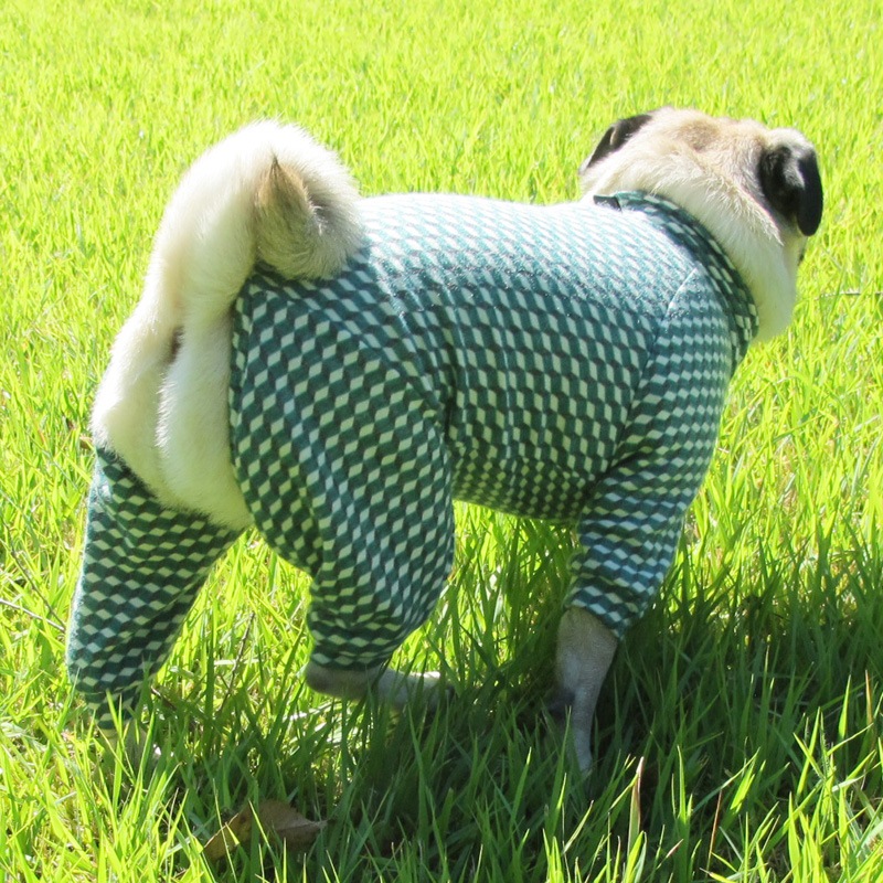 ȥʥȥåĤʤڰΤߥ᡼زġ