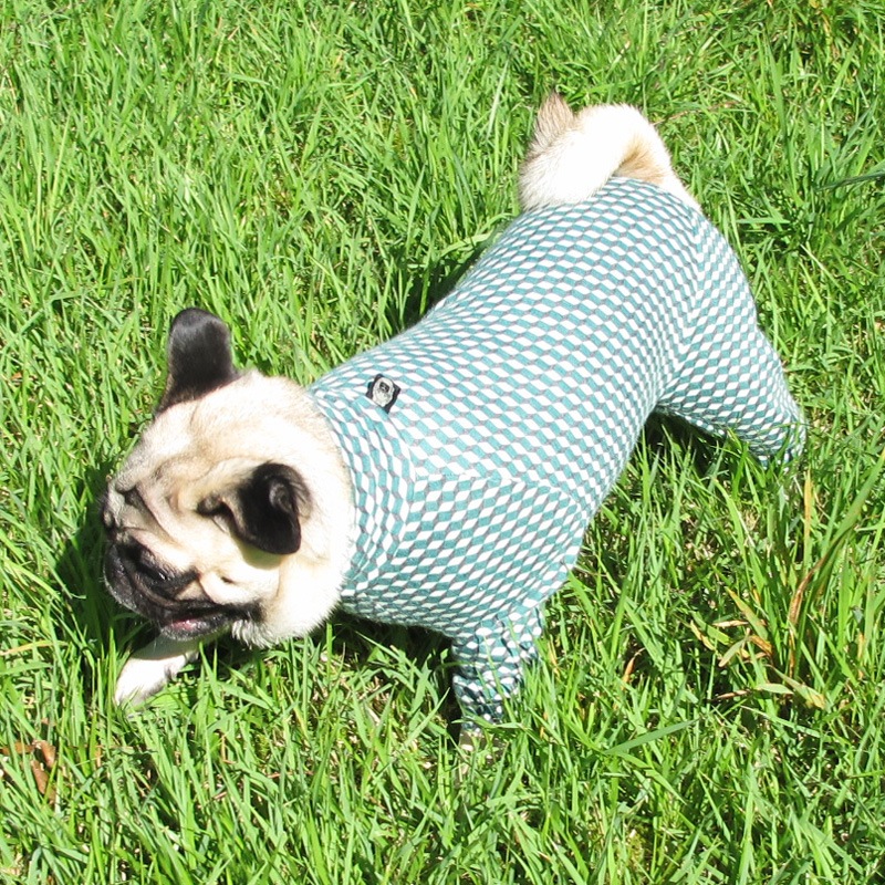 ȥʥȥåĤʤڰΤߥ᡼زġ