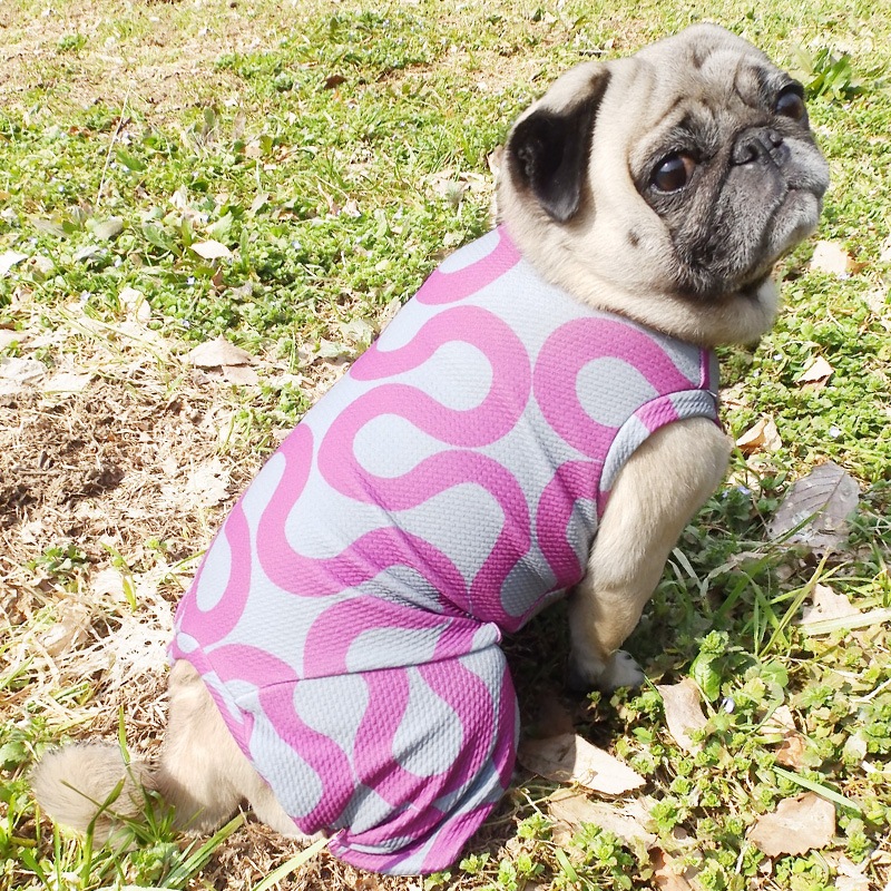 ���ͤ��ͤ��ͤ��ͲƤĤʤ��ڲƤĤʤ�2��or�ƤĤʤ�1���T�����(����)1��ϥ᡼���زġ�