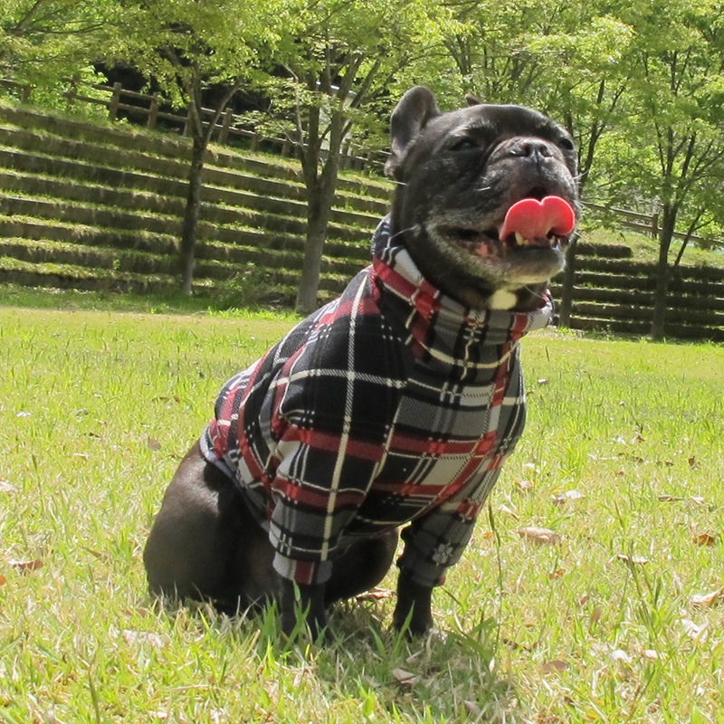 åեȥ졼ʡڰΤߥ᡼زġ