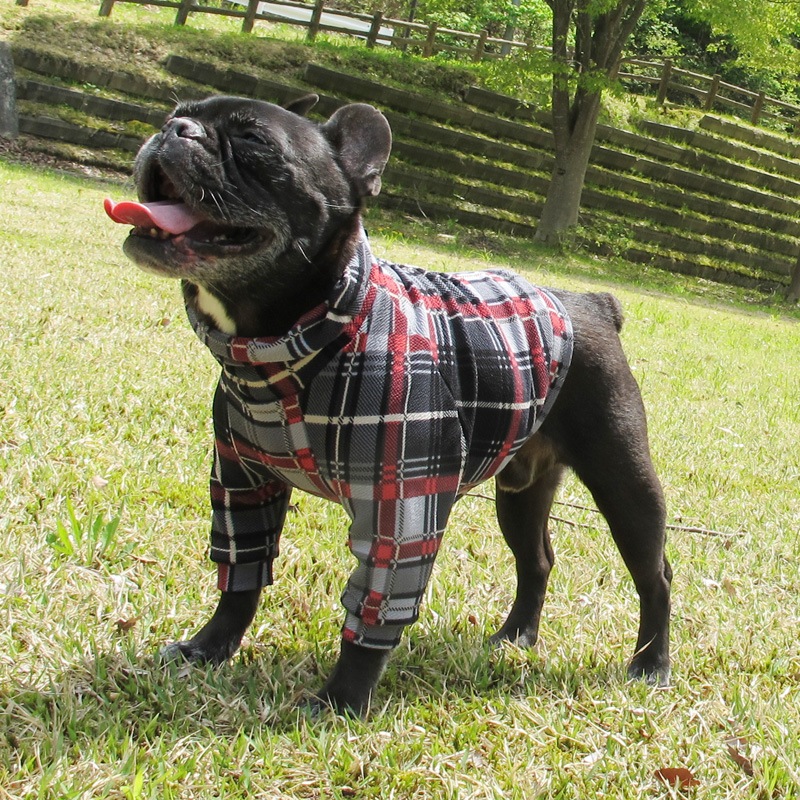 åեȥ졼ʡڰΤߥ᡼زġ