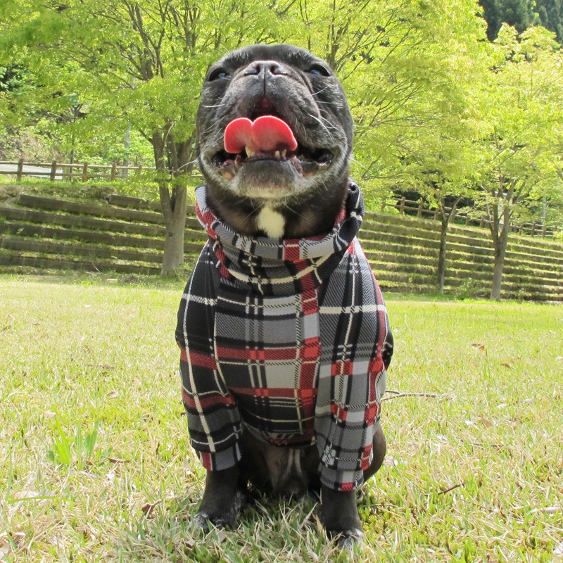 åեȥ졼ʡڰΤߥ᡼زġ