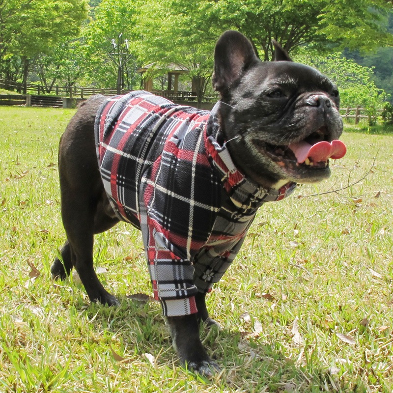 åեȥ졼ʡڰΤߥ᡼زġ