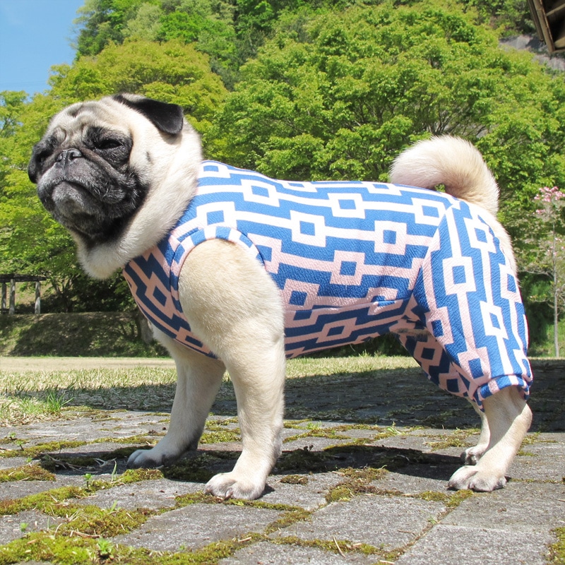 �ͳѤȿ��ä����ƤĤʤ��ڲƤĤʤ�2��or�ƤĤʤ�1���T�����(����)1��ϥ᡼���زġ�