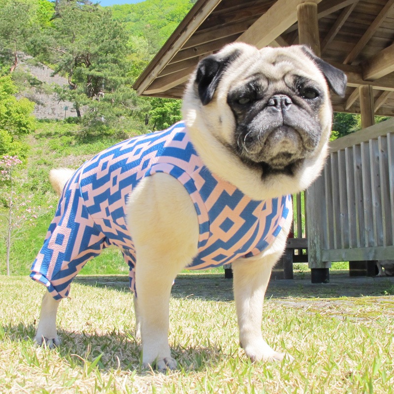 �ͳѤȿ��ä����ƤĤʤ��ڲƤĤʤ�2��or�ƤĤʤ�1���T�����(����)1��ϥ᡼���زġ�