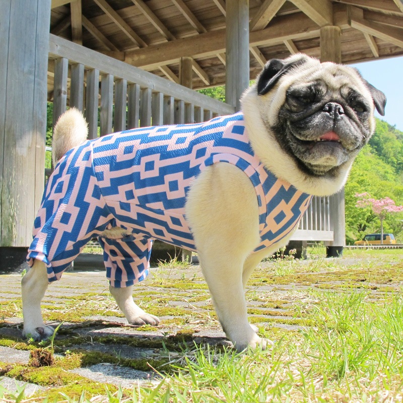 �ͳѤȿ��ä����ƤĤʤ��ڲƤĤʤ�2��or�ƤĤʤ�1���T�����(����)1��ϥ᡼���زġ�