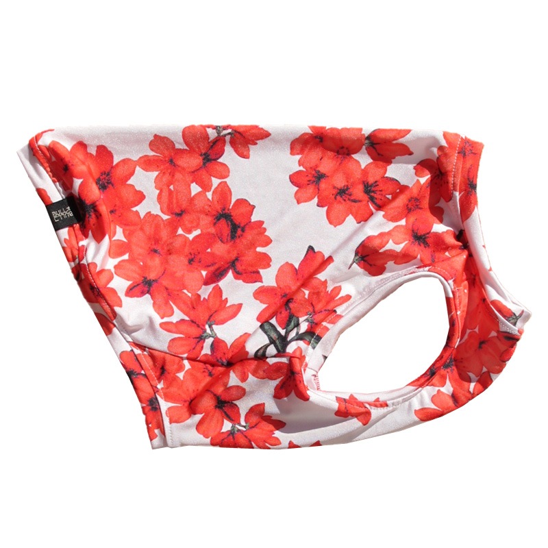 �餭�ۤ��쥿�󥯥ȥåס�T�����2��or���󥯥ȥå�1���T�����1��ϥ᡼���زġ�