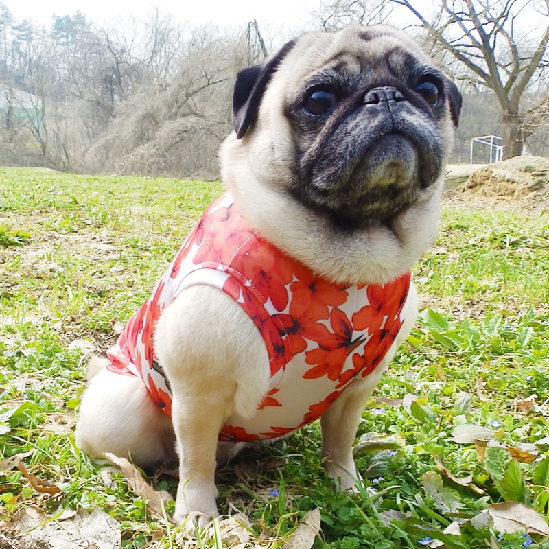 �餭�ۤ��쥿�󥯥ȥåס�T�����2��or���󥯥ȥå�1���T�����1��ϥ᡼���زġ�