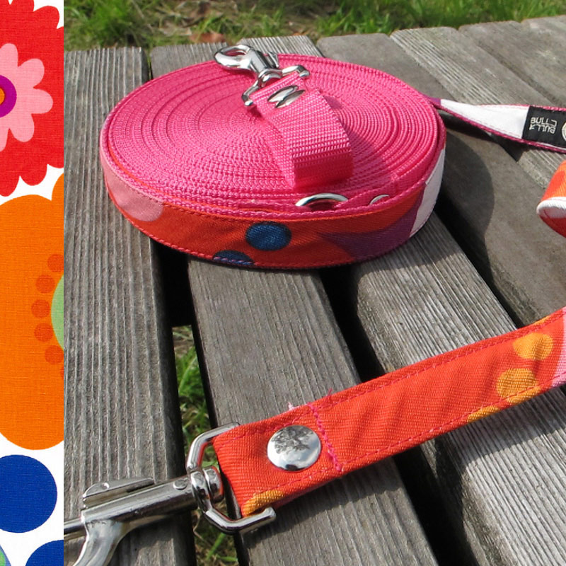 �����󥰥꡼�ɡڥ᡼���زġ�