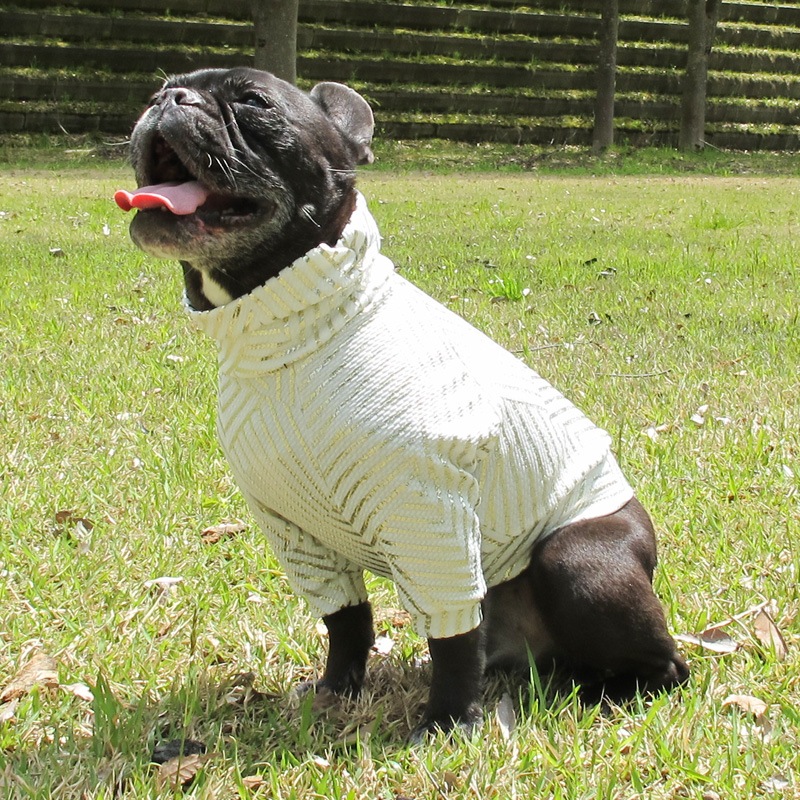 �⥭��եȥ졼�ʡ��ڰ���Τߥ᡼���زġ�