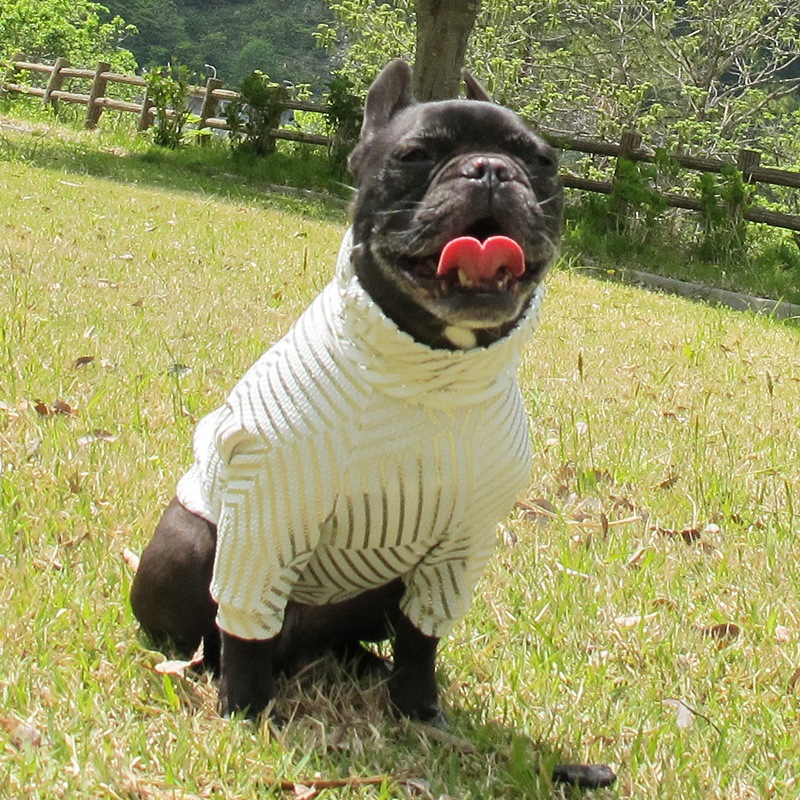 �⥭��եȥ졼�ʡ��ڰ���Τߥ᡼���زġ�