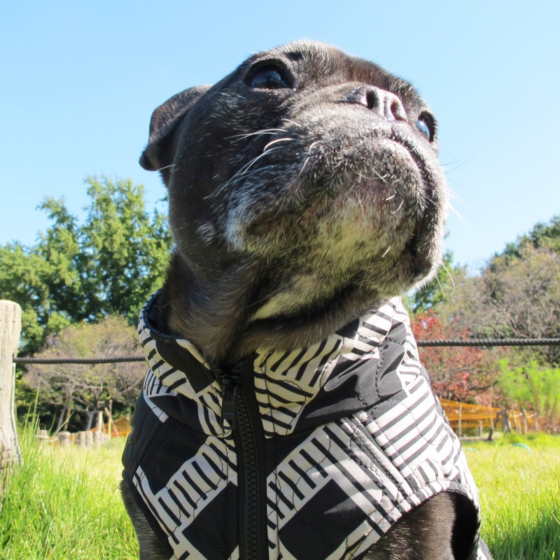 ͳѤΥƥ󥰥٥ȡڰΤߥ᡼زġ