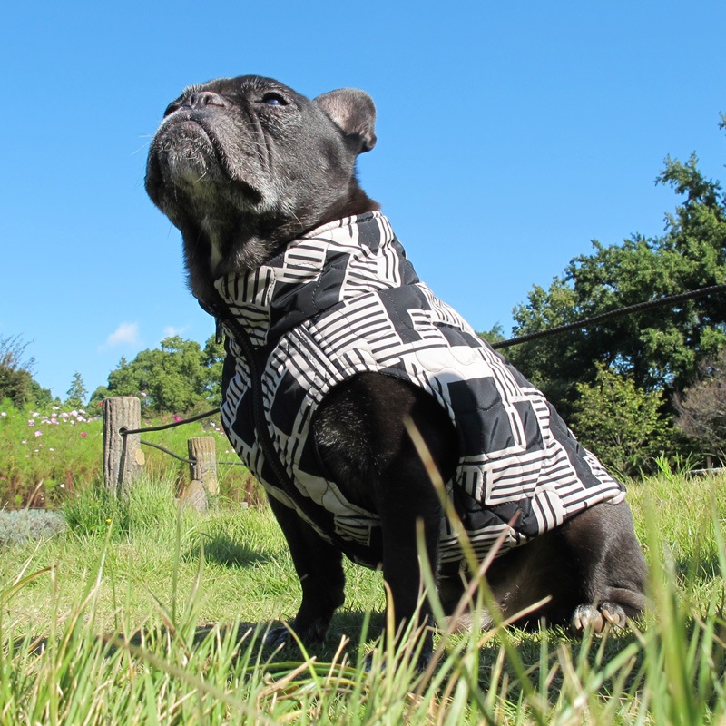 ͳѤΥƥ󥰥٥ȡڰΤߥ᡼زġ