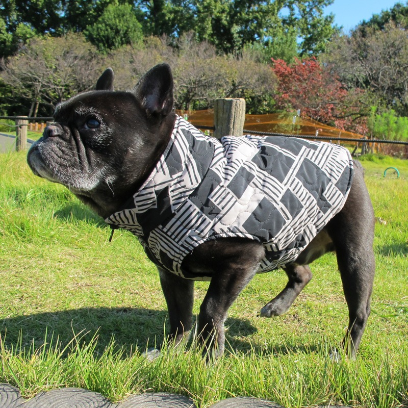 ͳѤΥƥ󥰥٥ȡڰΤߥ᡼زġ