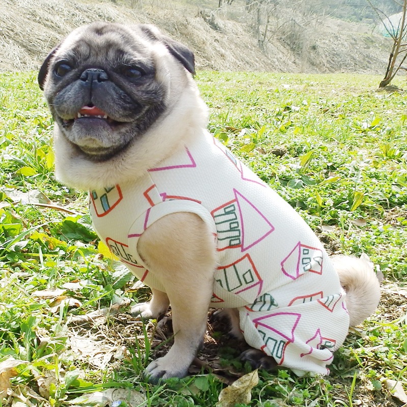 ���ȥץ��ȲƤĤʤ��ڲƤĤʤ�2��or�ƤĤʤ�1���T�����(����)1��ϥ᡼���زġ�