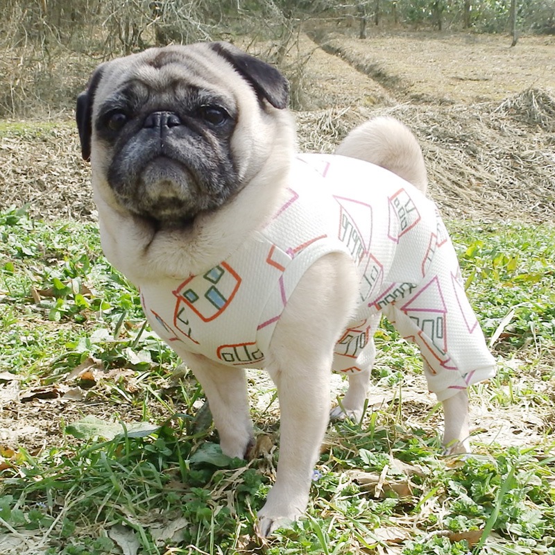 ���ȥץ��ȲƤĤʤ��ڲƤĤʤ�2��or�ƤĤʤ�1���T�����(����)1��ϥ᡼���زġ�