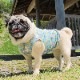 ����ƥ������ե��ץ��ȥ��󥯥ȥåס�T�����2��or���󥯥ȥå�1���T�����1��ϥ᡼���زġ�