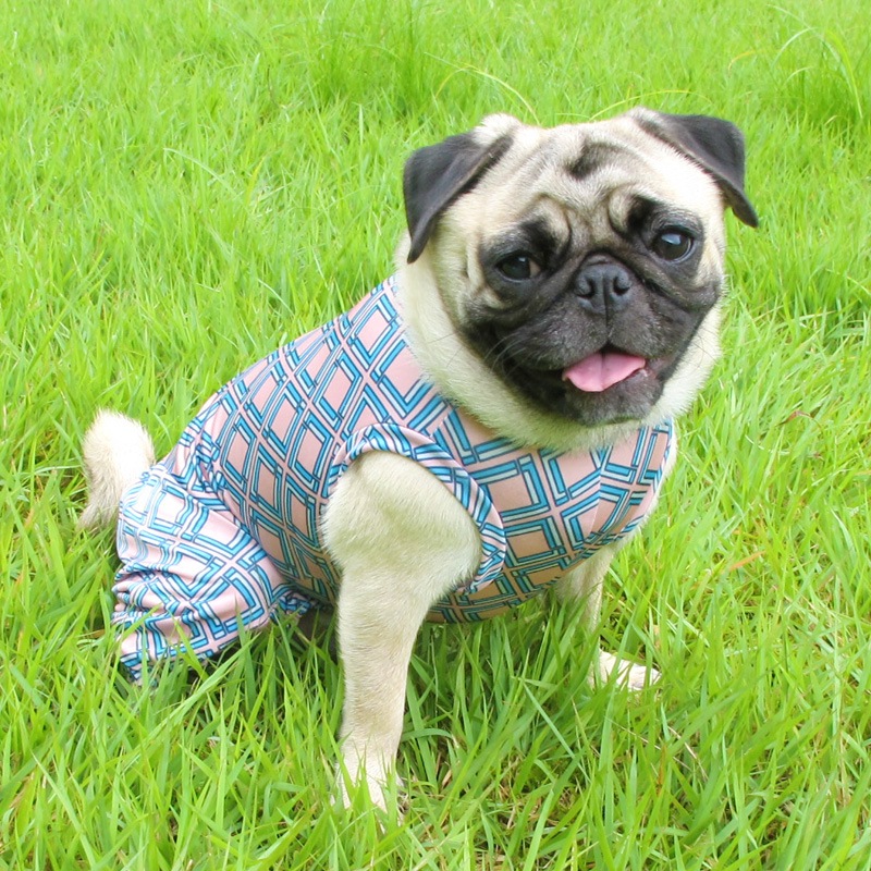 롼66ƤĤʤڲƤĤʤ2orƤĤʤ1T()1ϥ᡼زġ