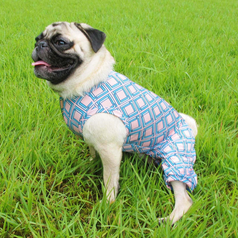 롼66ƤĤʤڲƤĤʤ2orƤĤʤ1T()1ϥ᡼زġ