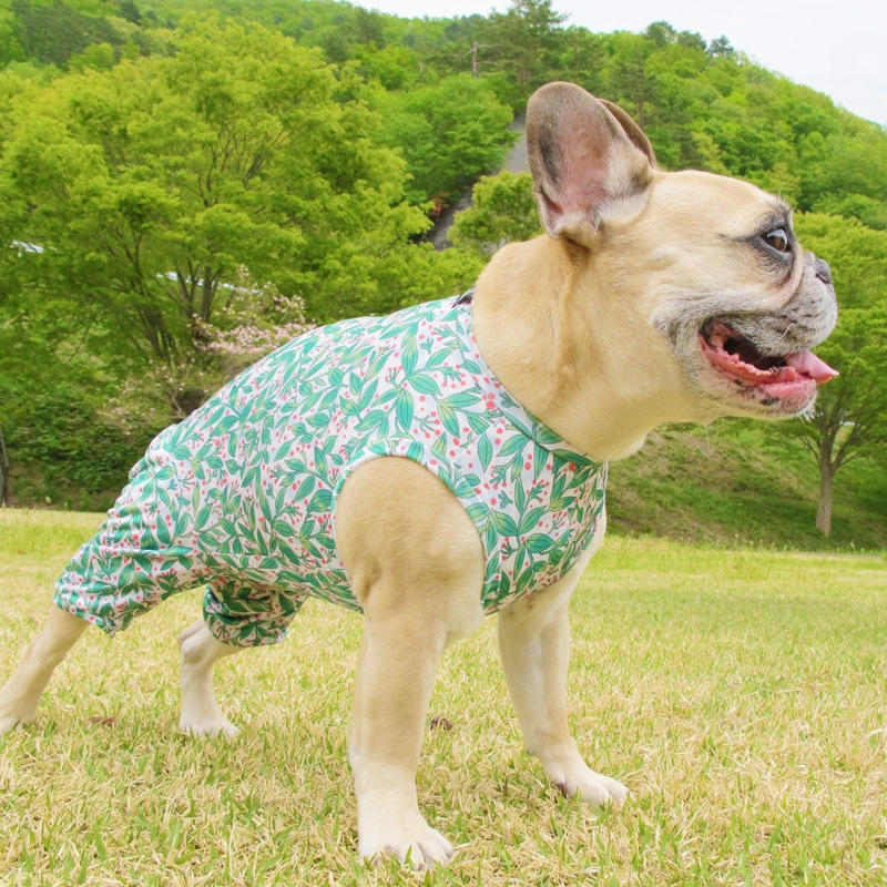 ��ŷ�ߤ����ʥץ��ȲƤĤʤ��ڲƤĤʤ�2��or�ƤĤʤ�1���T�����(����)1��ϥ᡼���زġ�