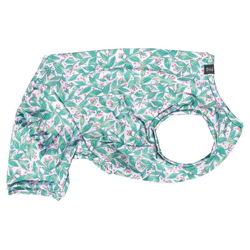 ��ŷ�ߤ����ʥץ��ȲƤĤʤ��ڲƤĤʤ�2��or�ƤĤʤ�1���T�����(����)1��ϥ᡼���زġ�