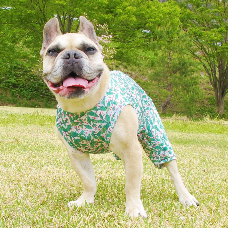 ��ŷ�ߤ����ʥץ��ȲƤĤʤ��ڲƤĤʤ�2��or�ƤĤʤ�1���T�����(����)1��ϥ᡼���زġ�