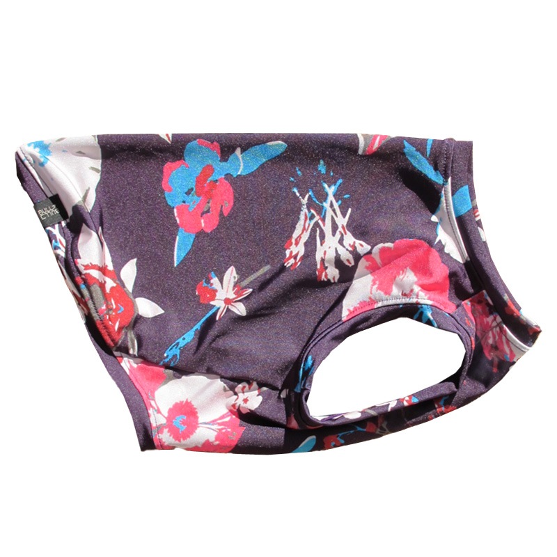 ���ߤ����������󥯥ȥåס�T�����2��or���󥯥ȥå�1���T�����1��ϥ᡼���زġ�