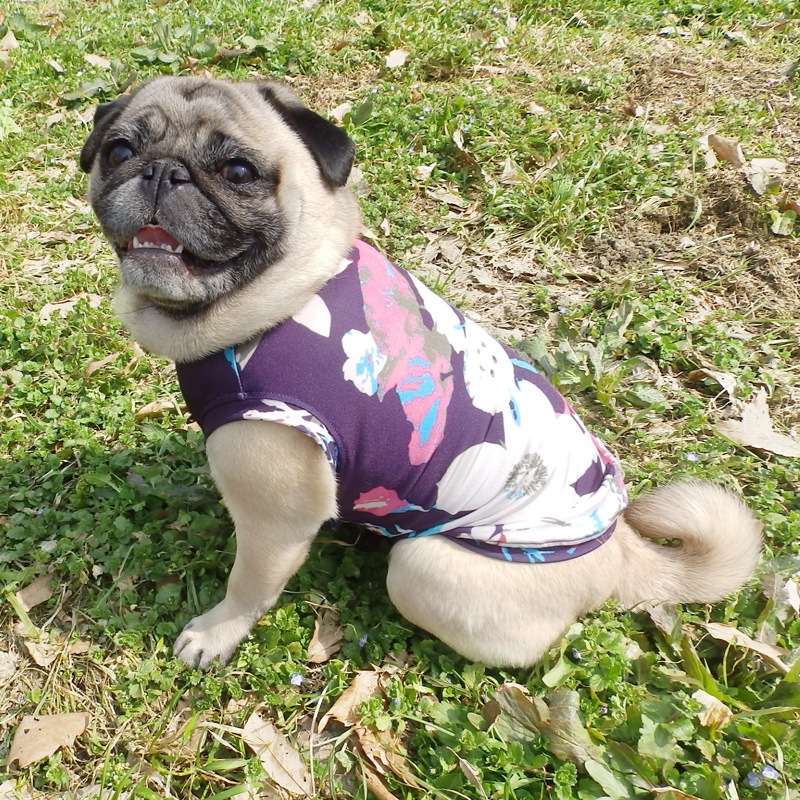 ���ߤ����������󥯥ȥåס�T�����2��or���󥯥ȥå�1���T�����1��ϥ᡼���زġ�