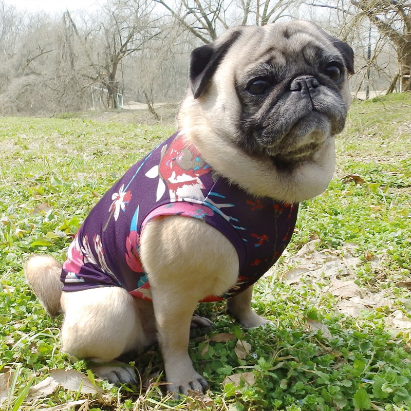 ���ߤ����������󥯥ȥåס�T�����2��or���󥯥ȥå�1���T�����1��ϥ᡼���زġ�