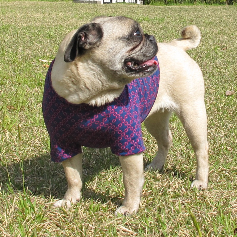 ����������T����ġ�T�����2��or���󥯥ȥå�1���T�����1��ϥ᡼���زġ�