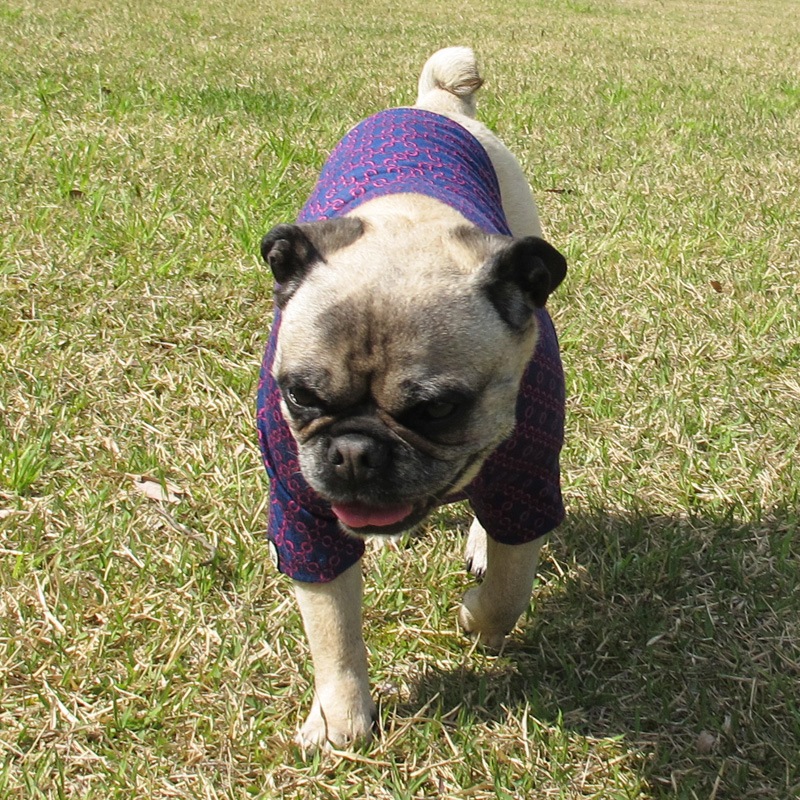 ����������T����ġ�T�����2��or���󥯥ȥå�1���T�����1��ϥ᡼���زġ�