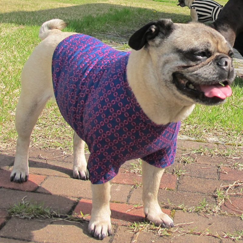 ����������T����ġ�T�����2��or���󥯥ȥå�1���T�����1��ϥ᡼���زġ�