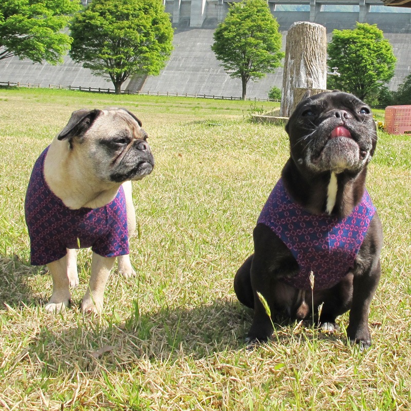 ����������T����ġ�T�����2��or���󥯥ȥå�1���T�����1��ϥ᡼���زġ�