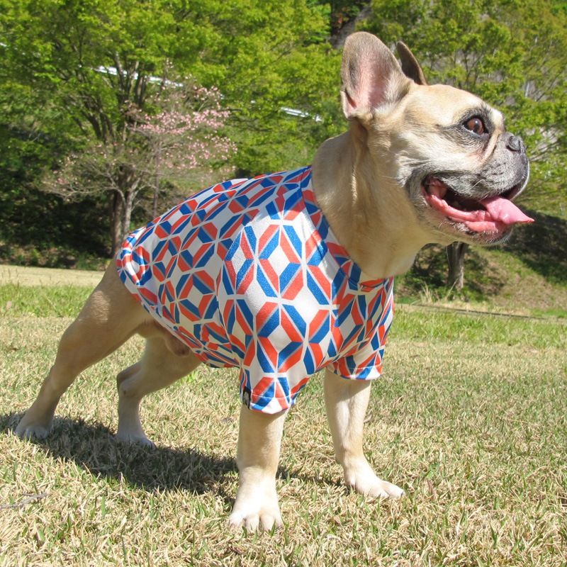 ĤLΤߡССTġT2or󥯥ȥå1T1ϥ᡼زġ