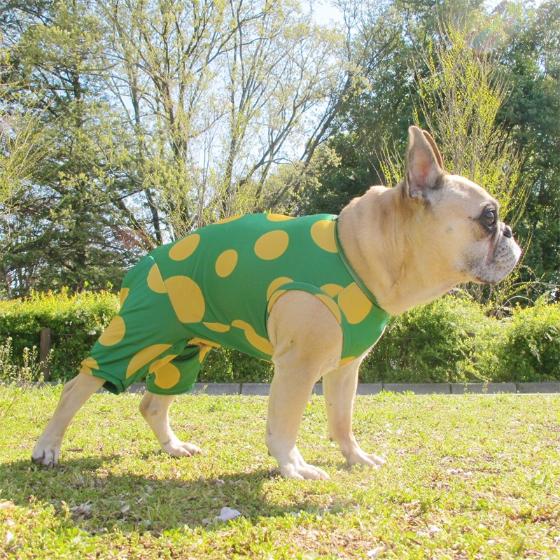 �������ɥåȲƤĤʤ��ڲƤĤʤ�2��or�ƤĤʤ�1���T�����(����)1��ϥ᡼���زġ�