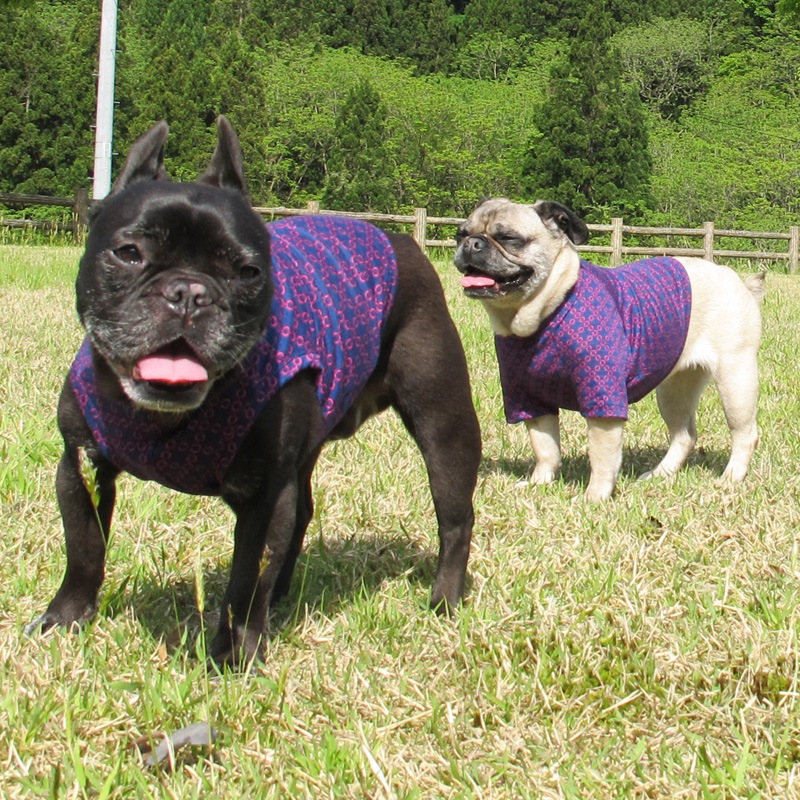 �������������󥯥ȥåס�T�����2��or���󥯥ȥå�1���T�����1��ϥ᡼���زġ�